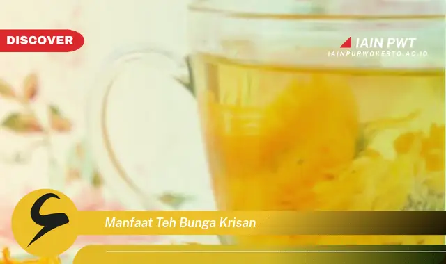 manfaat teh bunga krisan