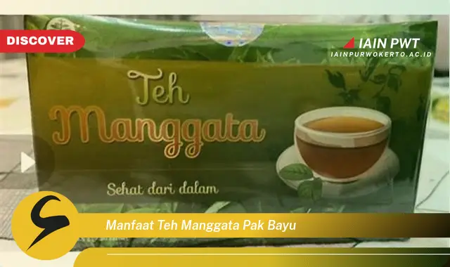 manfaat teh manggata pak bayu