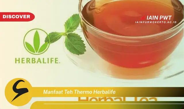 manfaat teh thermo herbalife