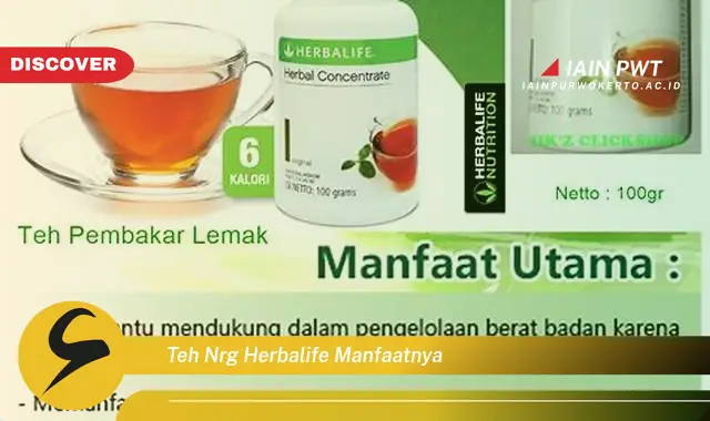 teh nrg herbalife manfaatnya