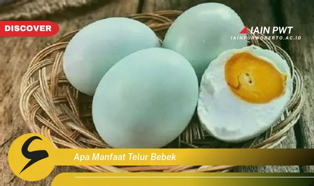 apa manfaat telur bebek