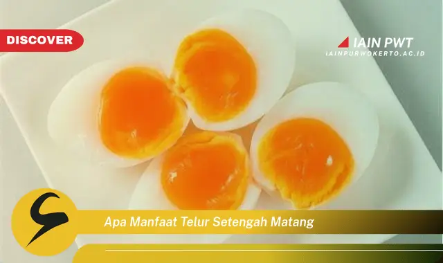 Intip 5 Manfaat Telur Setengah Matang yang Jarang Diketahui - Discover