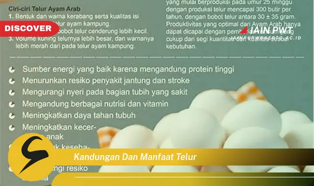 kandungan dan manfaat telur