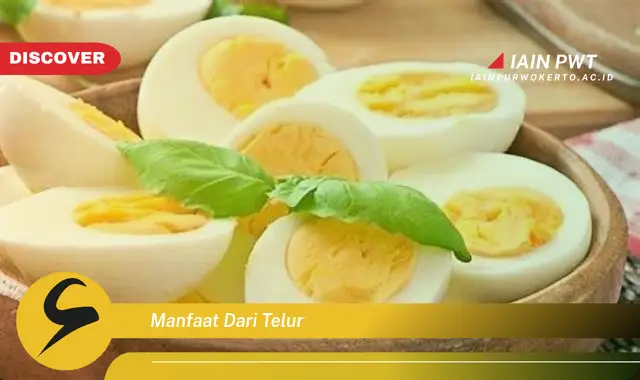 manfaat dari telur