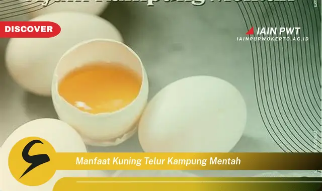 manfaat kuning telur kampung mentah