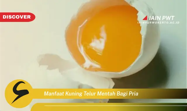 manfaat kuning telur mentah bagi pria