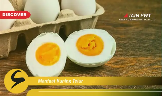 manfaat kuning telur