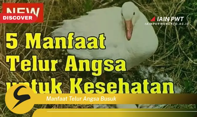 manfaat telur angsa busuk