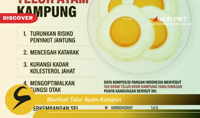 manfaat telur ayam kampun