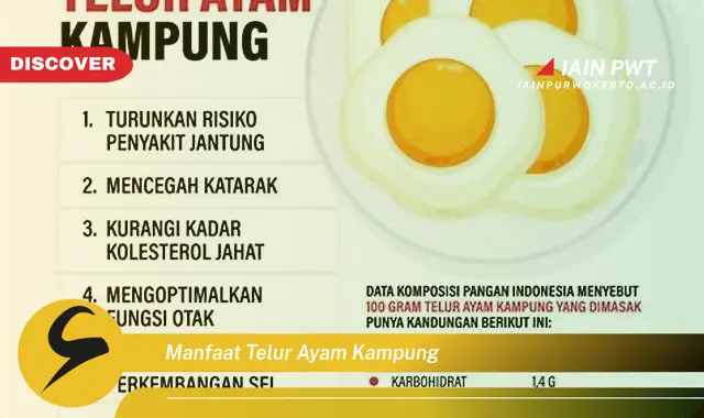 manfaat telur ayam kampung