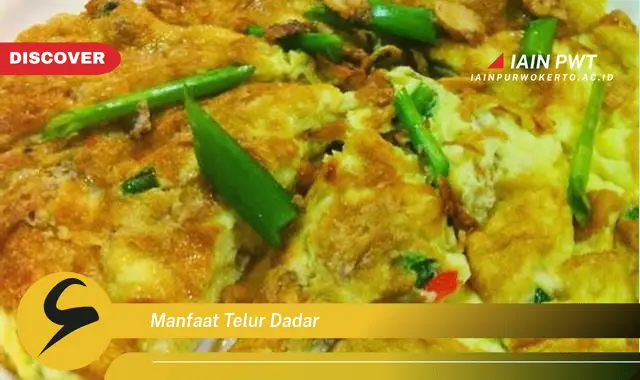 manfaat telur dadar