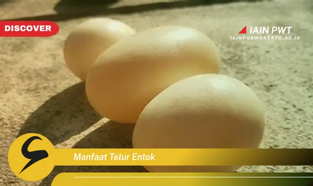 manfaat telur entok