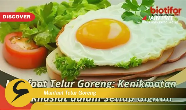 manfaat telur goreng