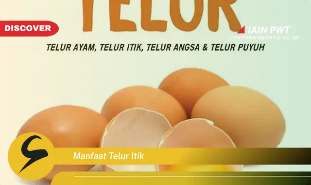 manfaat telur itik