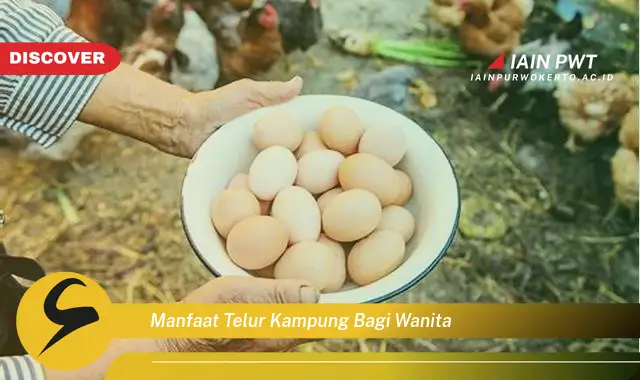 manfaat telur kampung bagi wanita