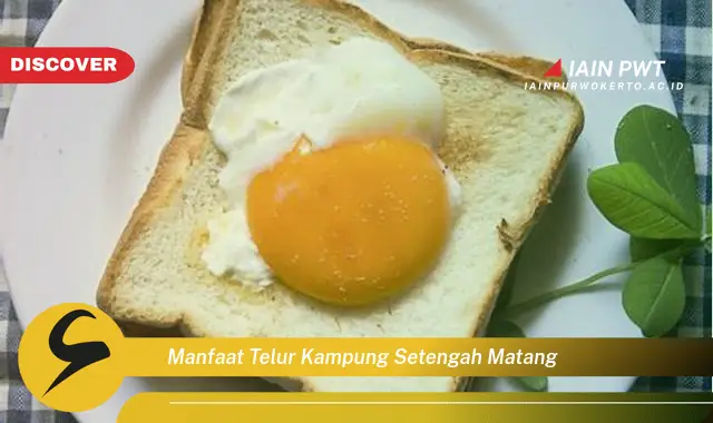 manfaat telur kampung setengah matang