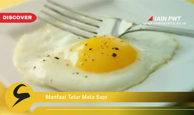 manfaat telur mata sapi