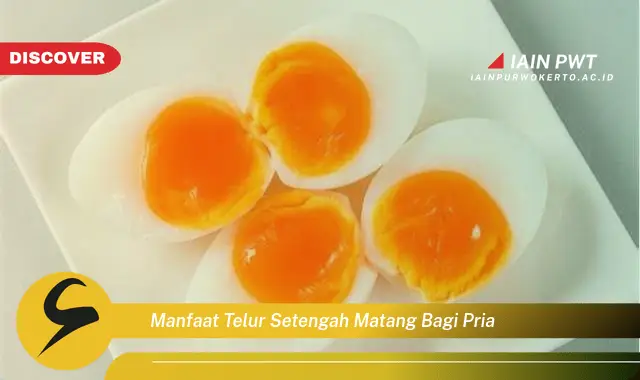 manfaat telur setengah matang bagi pria