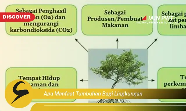 apa manfaat tumbuhan bagi lingkungan