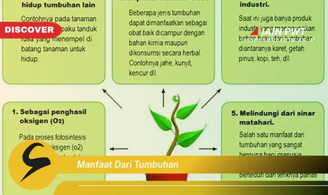 manfaat dari tumbuhan