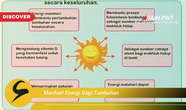 manfaat energi bagi tumbuhan