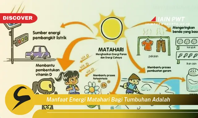 manfaat energi matahari bagi tumbuhan adalah