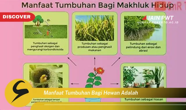 manfaat tumbuhan bagi hewan adalah