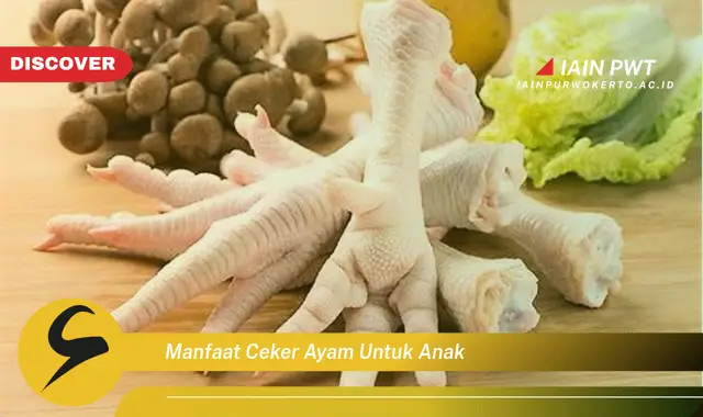 manfaat ceker ayam untuk anak