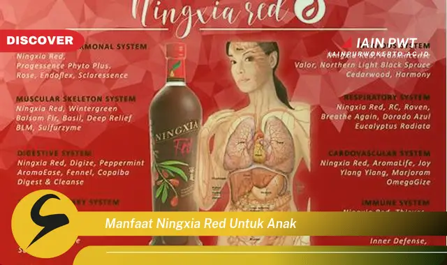 manfaat ningxia red untuk anak manfaat ningxia red untuk anak