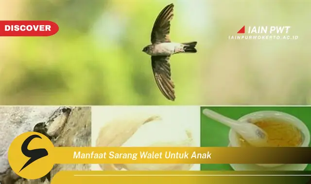 manfaat sarang walet untuk anak