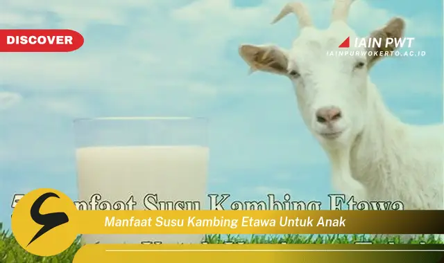 manfaat susu kambing etawa untuk anak manfaat susu kambing etawa untuk anak