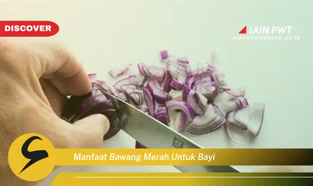 manfaat bawang merah untuk bayi