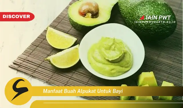 manfaat buah alpukat untuk bayi