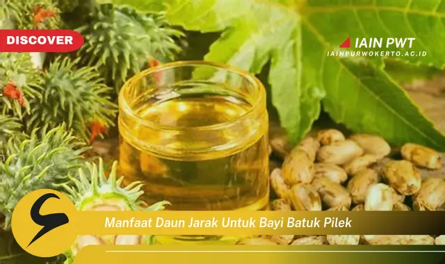 manfaat daun jarak untuk bayi batuk pilek