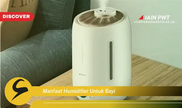 manfaat humidifier untuk bayi