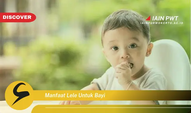 manfaat lele untuk bayi