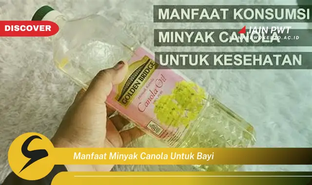 manfaat minyak canola untuk bayi