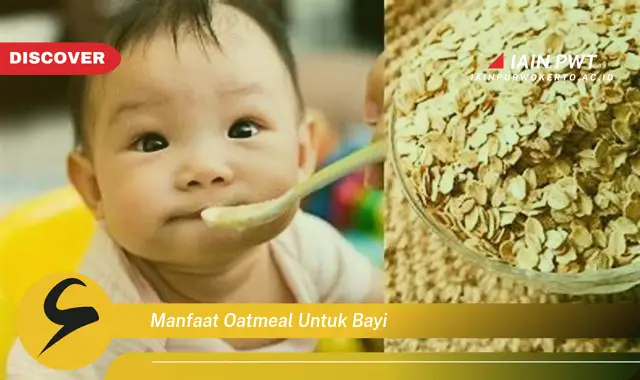 manfaat oatmeal untuk bayi