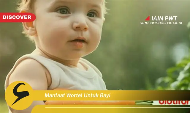 manfaat wortel untuk bayi