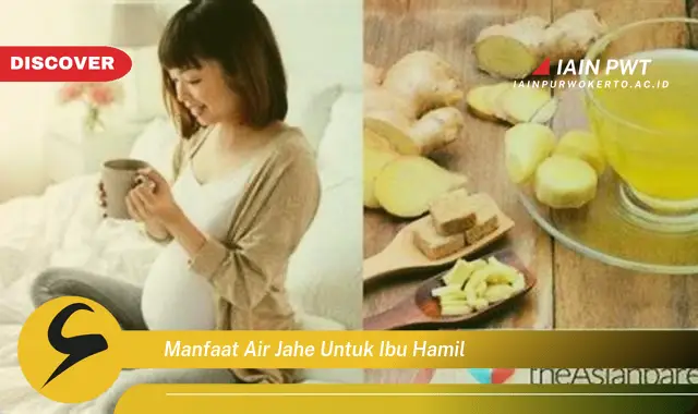 Ketahui 7 Manfaat Ajaib Air Jahe untuk Ibu Hamil