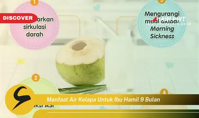 Ketahui 7 Manfaat Air Kelapa untuk Ibu Hamil Tua