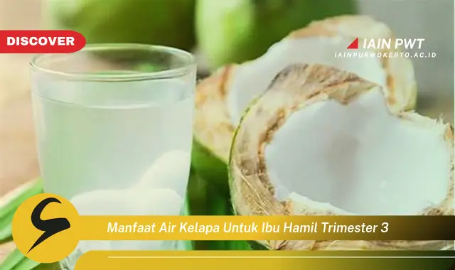 Ketahui 5 Manfaat Ajaib Air Kelapa untuk Ibu Hamil Trimester 3