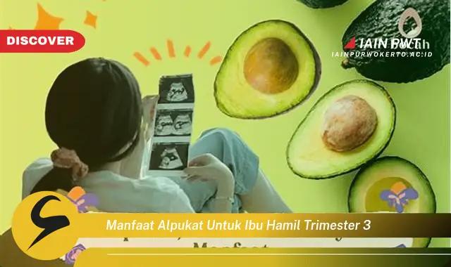 Ketahui 7 Manfaat Alpukat untuk Trimester Akhir Kehamilan