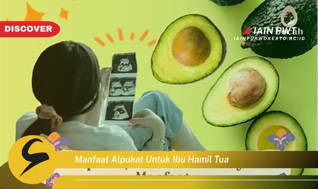 Ketahui 7 Manfaat Alpukat bagi Ibu Hamil Tua