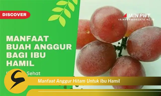 Ketahui 7 Manfaat Anggur Hitam Bagi Kehamilan Anda