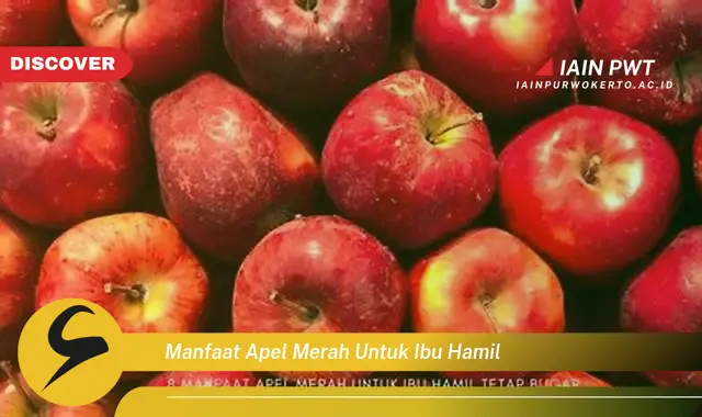 Ketahui 7 Manfaat Apel Merah untuk Ibu Hamil