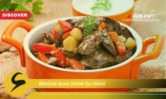 Kamu Wajib Tahu, Inilah 15 Manfaat Ayam untuk Ibu Hamil yang Wajib Diketahui