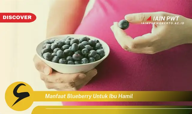 Ketahui 7 Manfaat Blueberry untuk Kehamilan yang Sehat