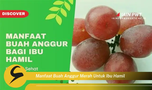 Ketahui 7 Manfaat Anggur Merah untuk Kehamilan Sehat