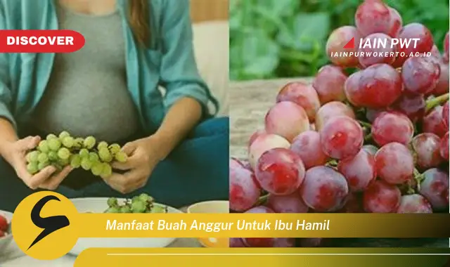 Ketahui 7 Manfaat Anggur untuk Kehamilan Sehat